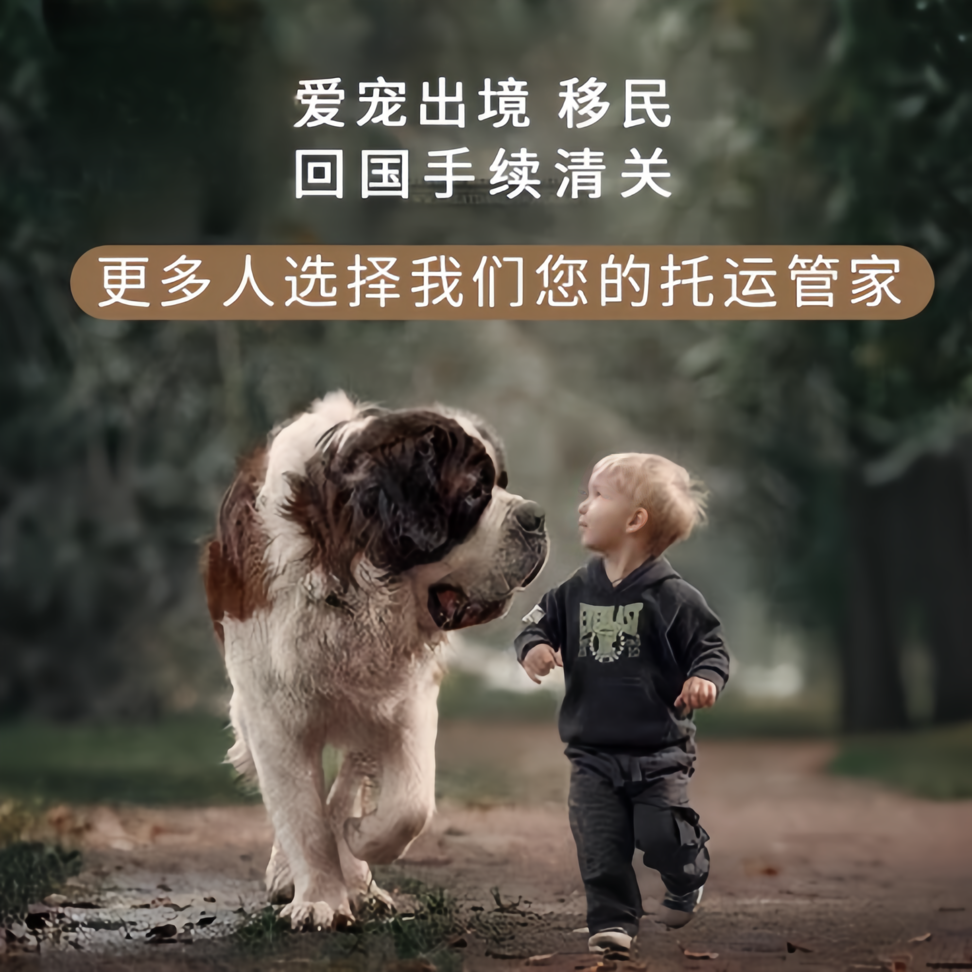 满财房山区宠物全球达宠物托运在遵守入境目的地政策的条件