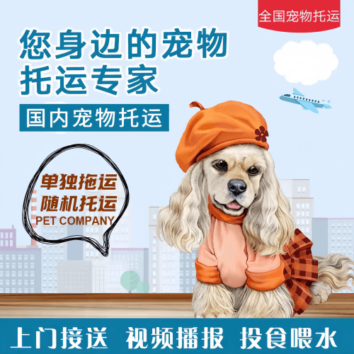 满财房山区宠物全球达宠物托运作为专业的宠物运输代理机构